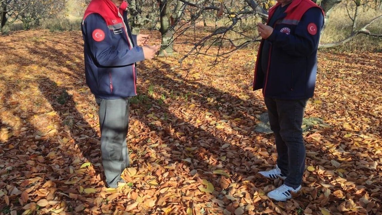 Akşehir Kirazı İçin Saha İncelemeleri Devam Ediyor