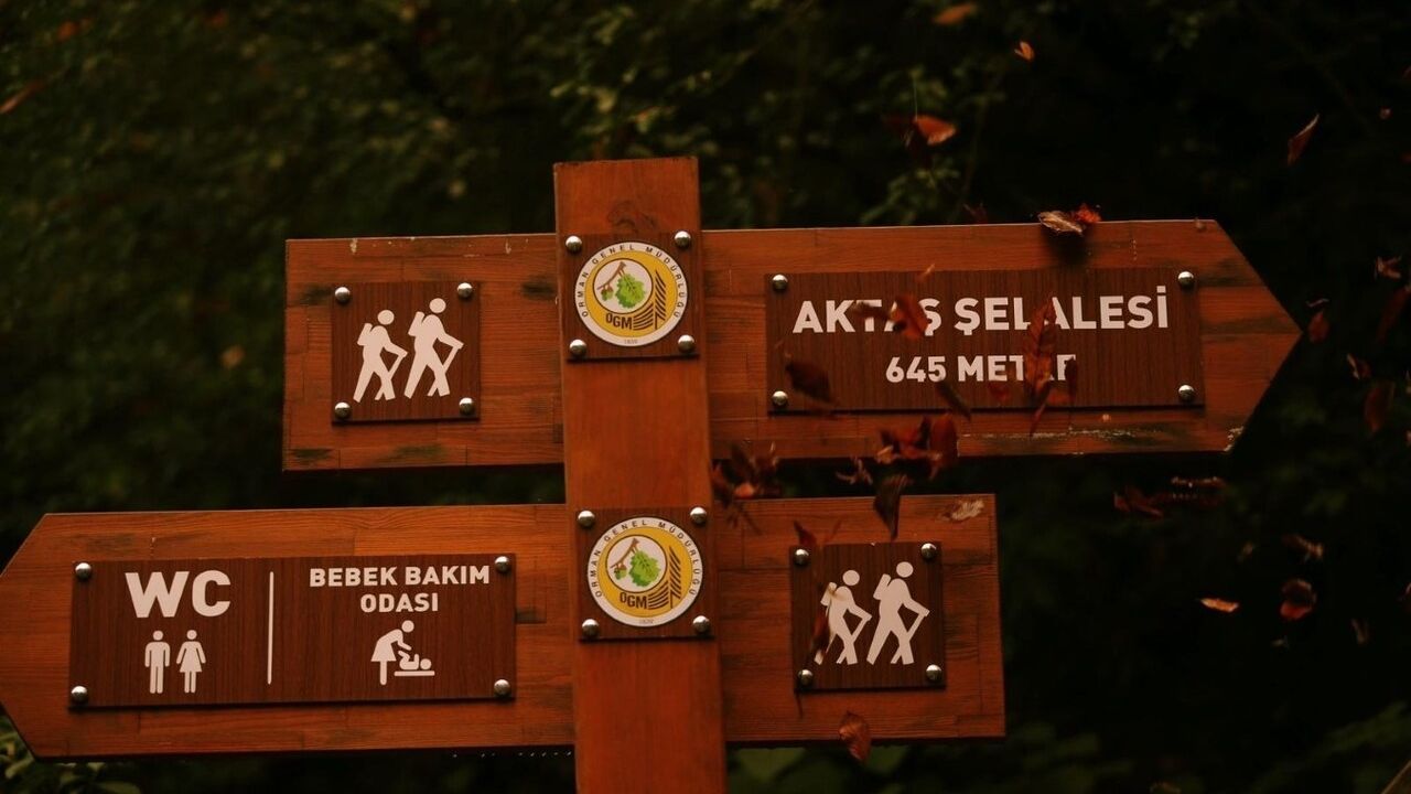 Aktaş Şelalesi: Sonbaharda Doğanın Güzellikleri