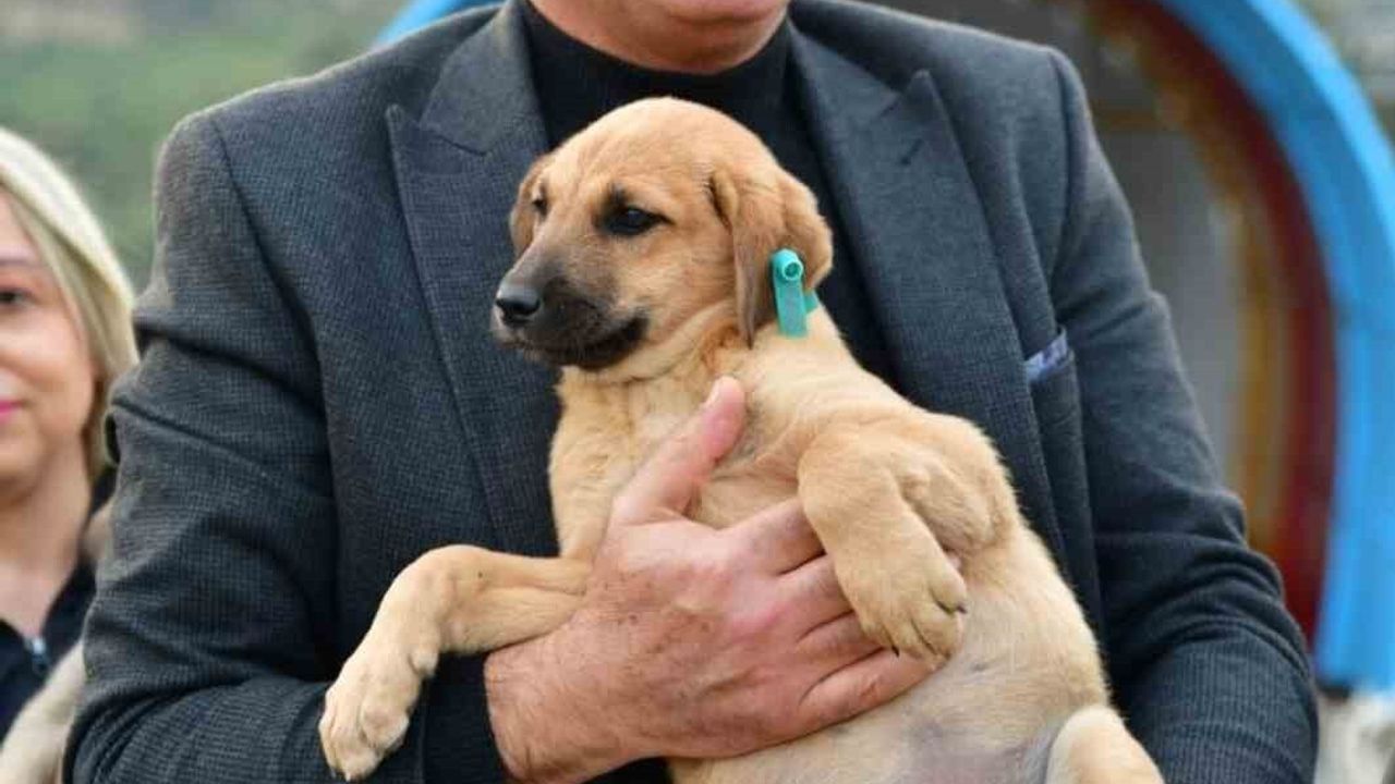 Alaşehir'de Modern Doğal Yaşam Alanı Açıldı