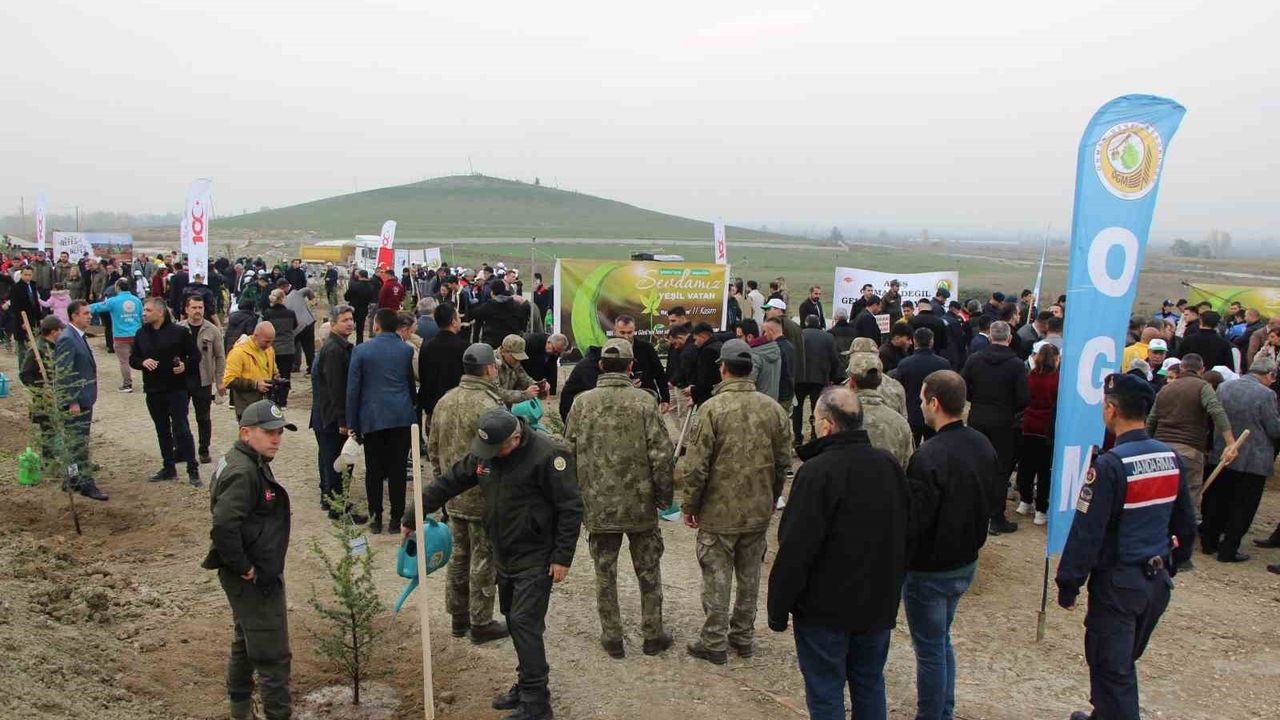 Amasya'da 4 Binden Fazla Fidan Toprakla Buluştu