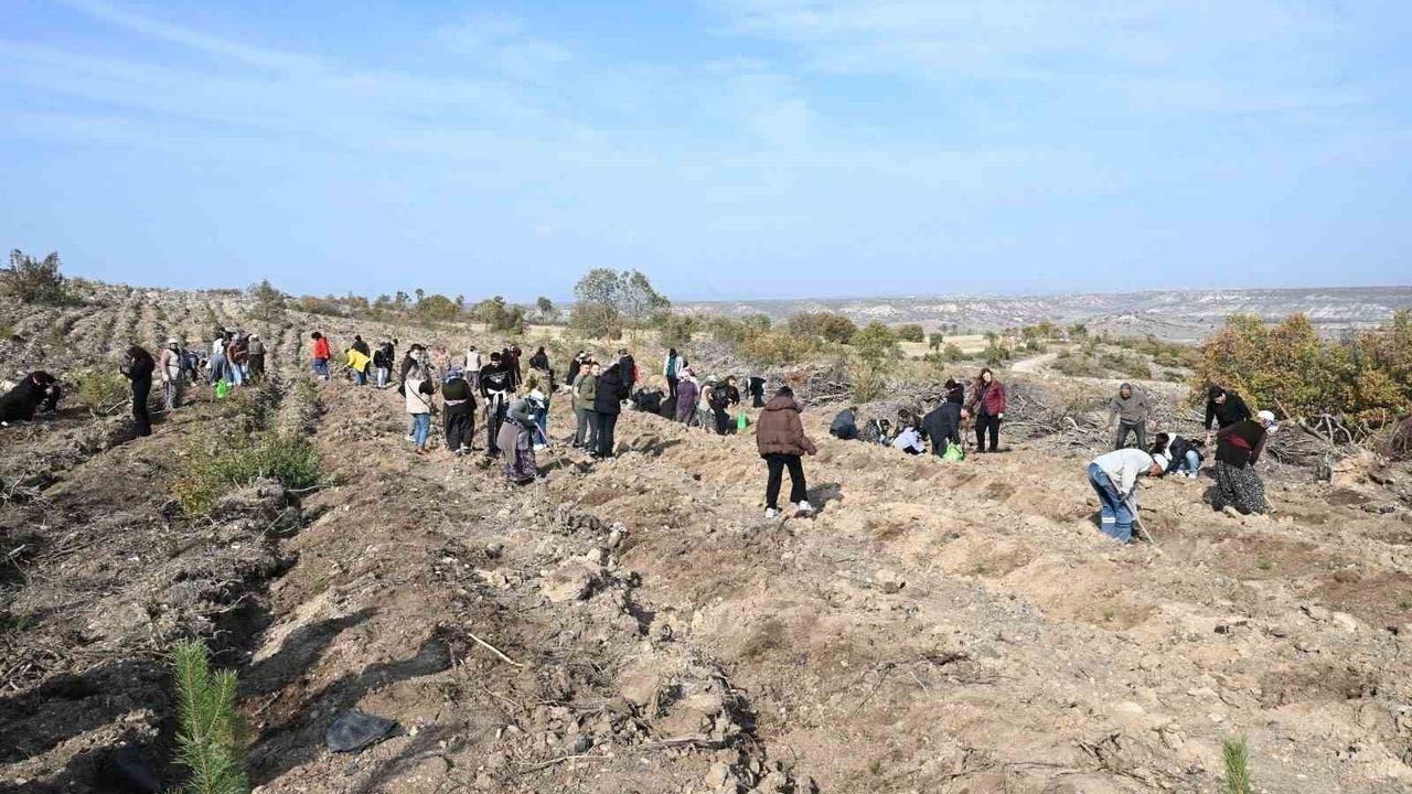 Anadolu Üniversitesi 'Yunus’un Fidanları' ile Ağaç Dikme Etkinliği Gerçekleştirdi