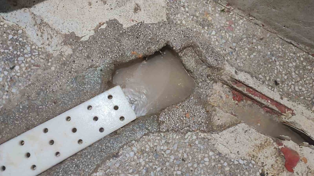 Ankara’da 63 Ton Kaçak Et Ürünü Ele Geçirildi