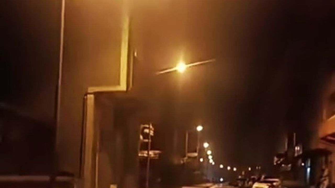 Anne Ayı ve Yavruları Yenice İlçesine İndi