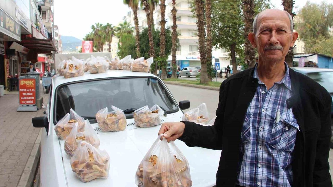 Antalya'da Çam Mantarlarının Geçim Kaynağı Olması