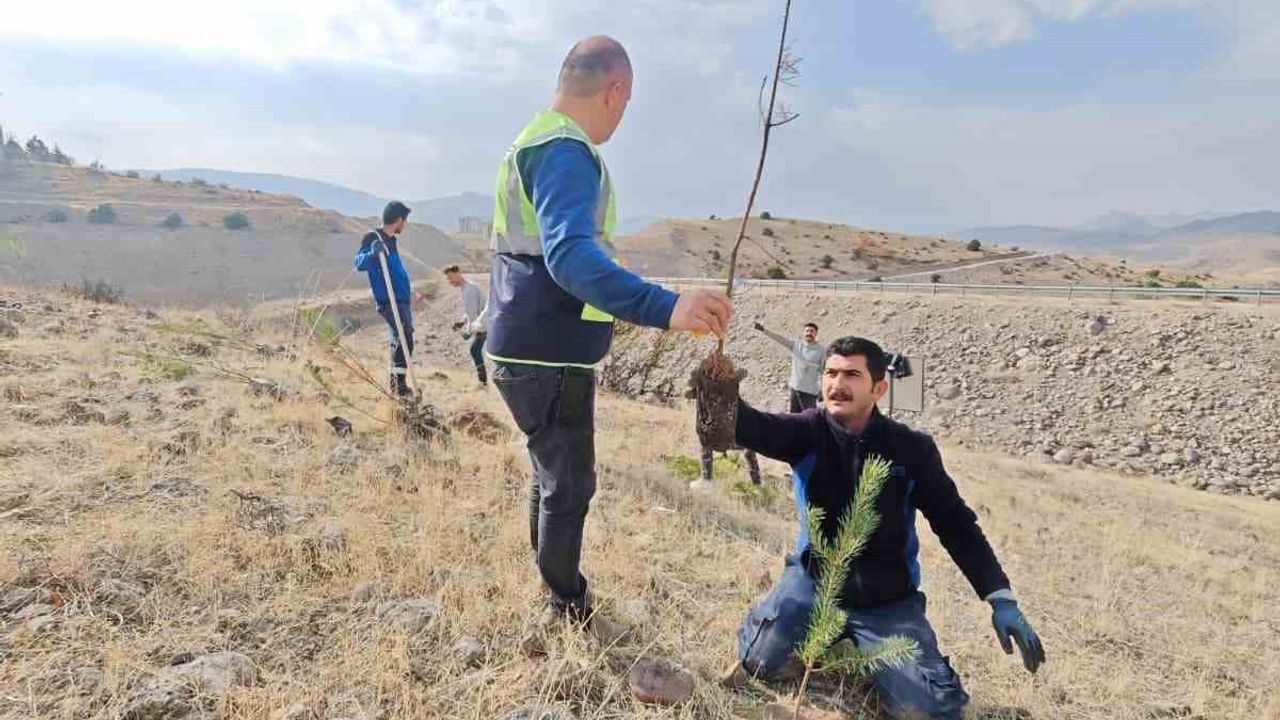 Aras EDAŞ, Milli Ağaçlandırma Günü’nde Geleceğe Nefes Oluyor