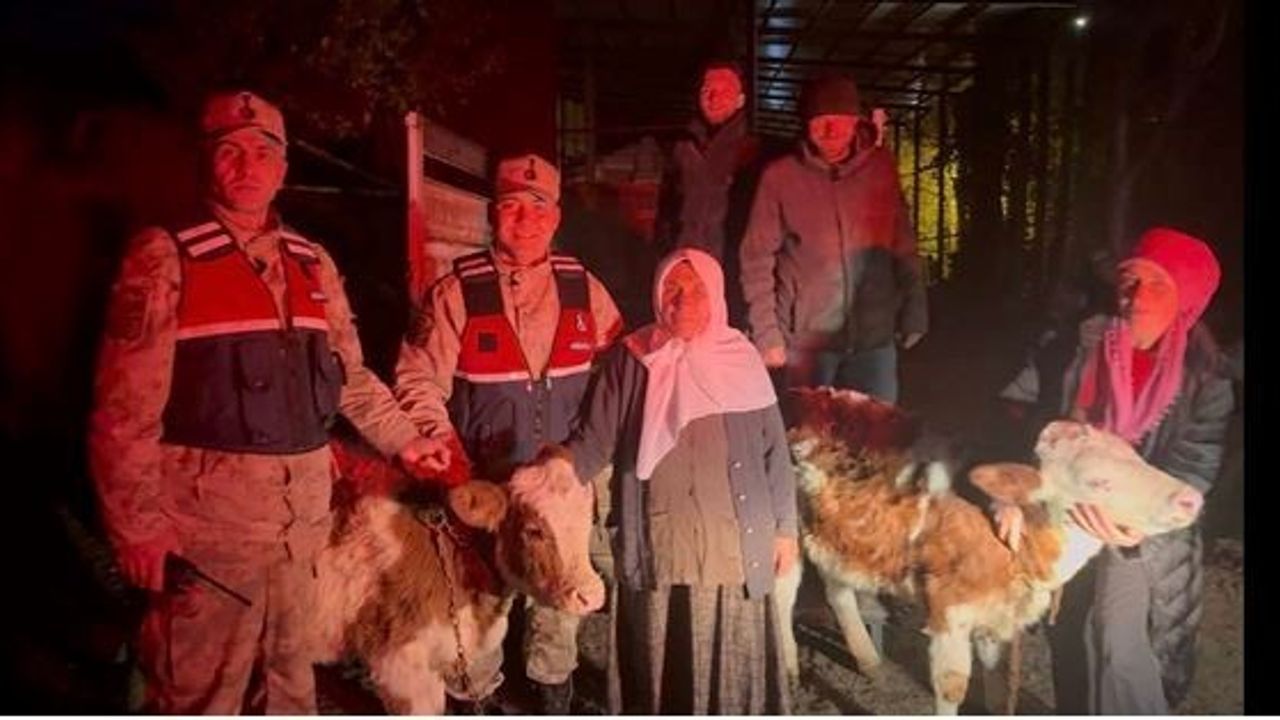 Ardahan'da Jandarma Çalınan Hayvanları Sahibine İade Etti