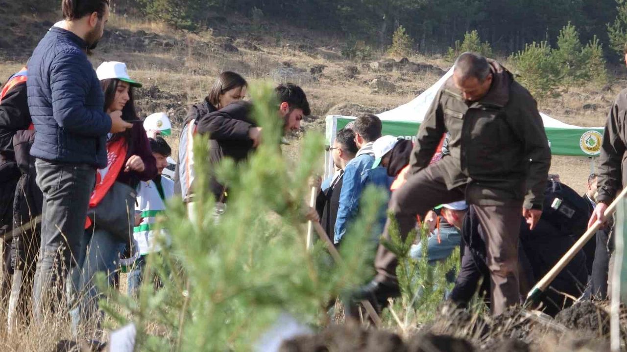 Ardahan'da Milli Ağaçlandırma Günü Kutlandı