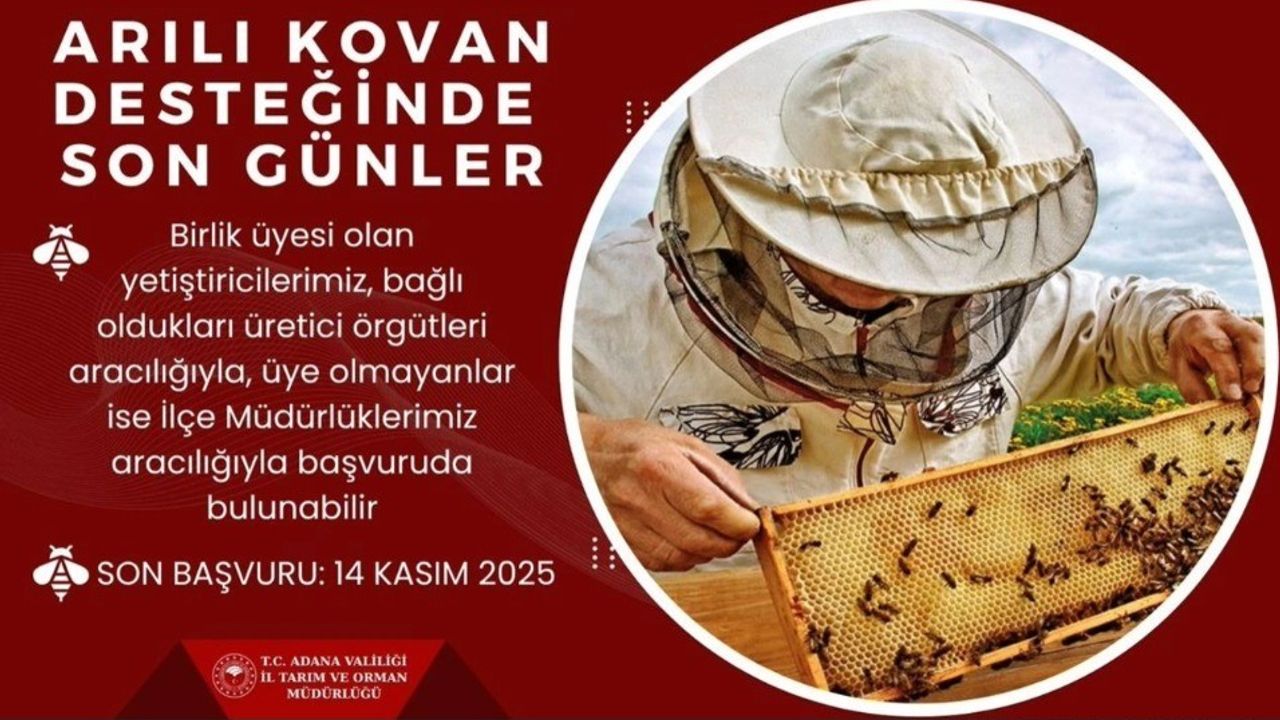 Arılı Kovan Desteği İçin Son Gün 14 Kasım 2025