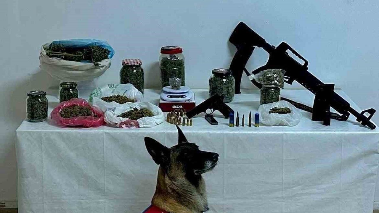 Artvin'de Uyuşturucu Operasyonu: 3 Gözaltı ve Tutuklama