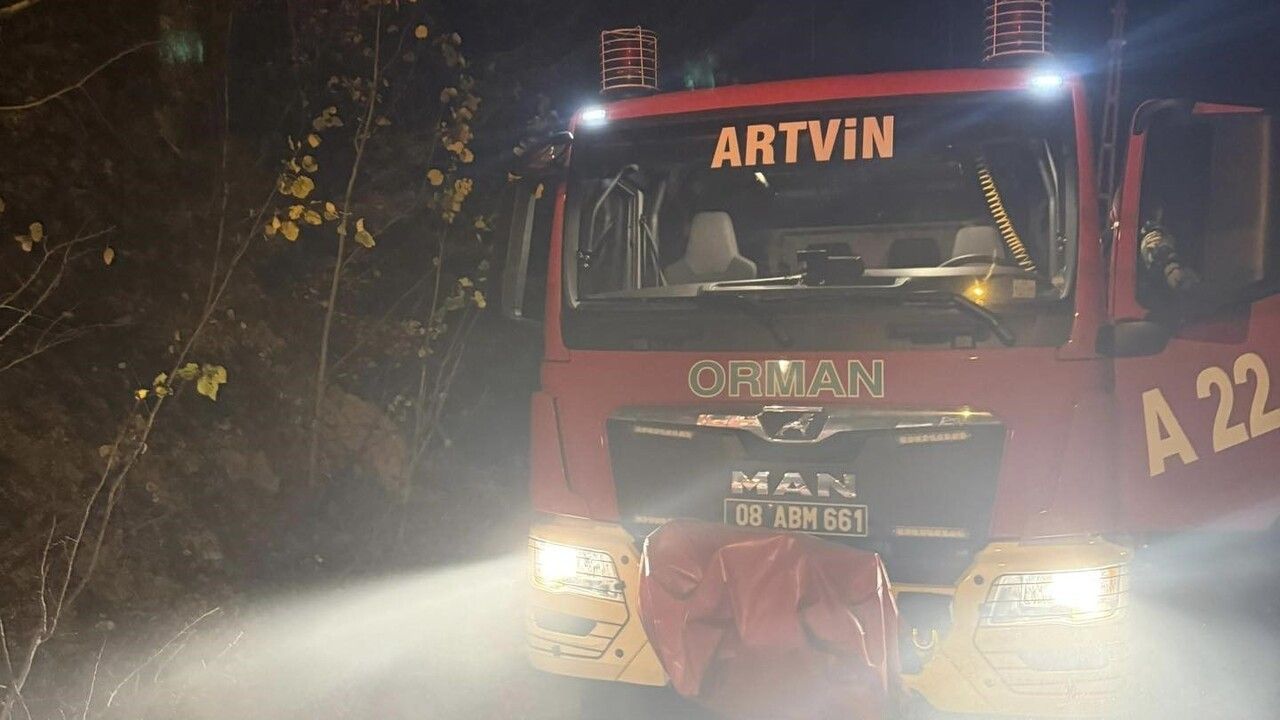 Artvin'de Zirai Alanda Yangın Kontrol Altına Alındı