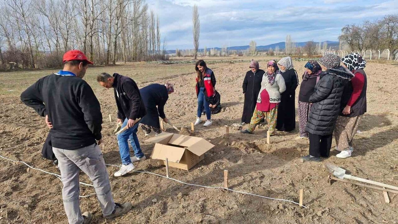 Aslanapa'da Kadın Çiftçilere Ahududu Fidanı Desteği