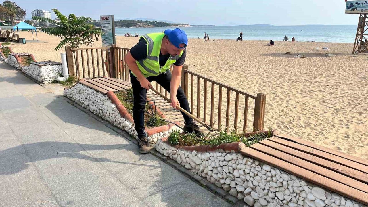 Aydın Çiçek Bahçesine Dönüşüyor