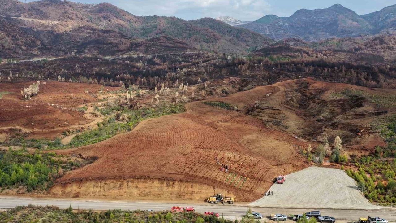 Aydın'da 17 Lokasyonda Fidan Dikimi Gerçekleşecek