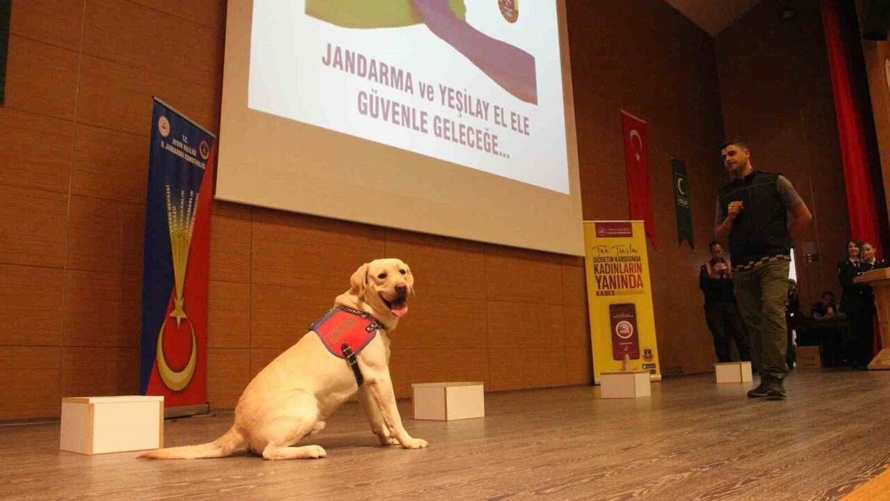 Aydın'da Gençler İçin Şiddetsiz ve Bağımsız Gelecek Buluşması Düzenlendi