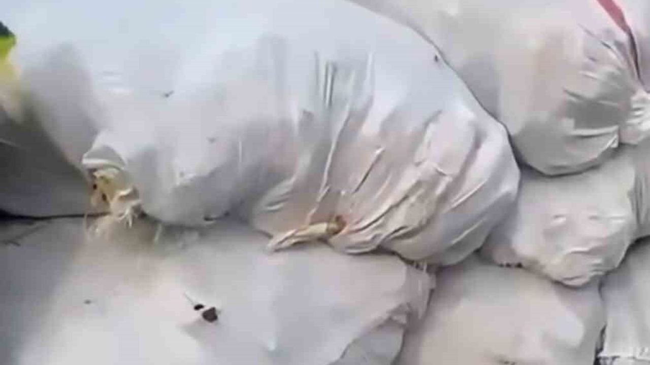 Aydın'da Şüpheli Araçlarda 1,9 Milyon Liralık Sahte Ayakkabı Ele Geçirildi