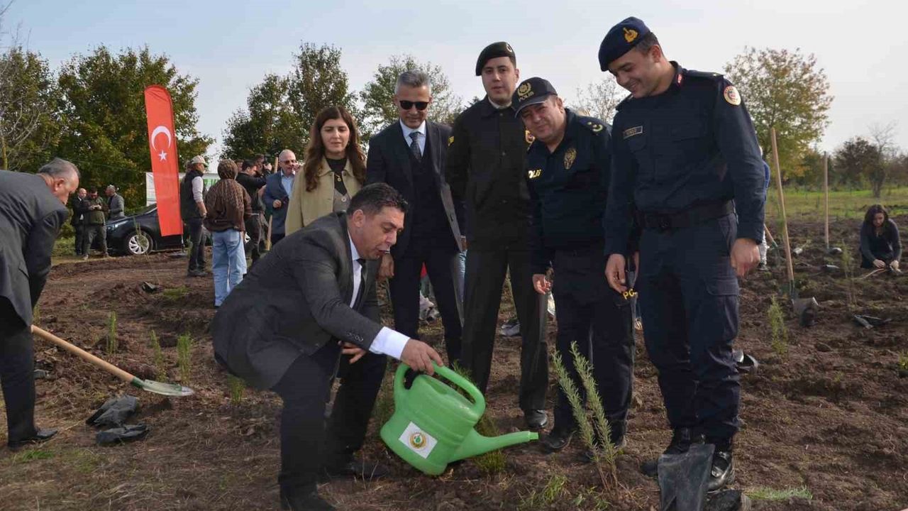 Bafra'da 8 Bin Fidanın Toprakla Buluşması