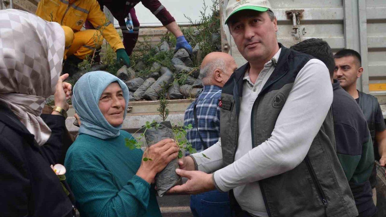 Bafra'da Fidan Dağıtımı Etkinliği