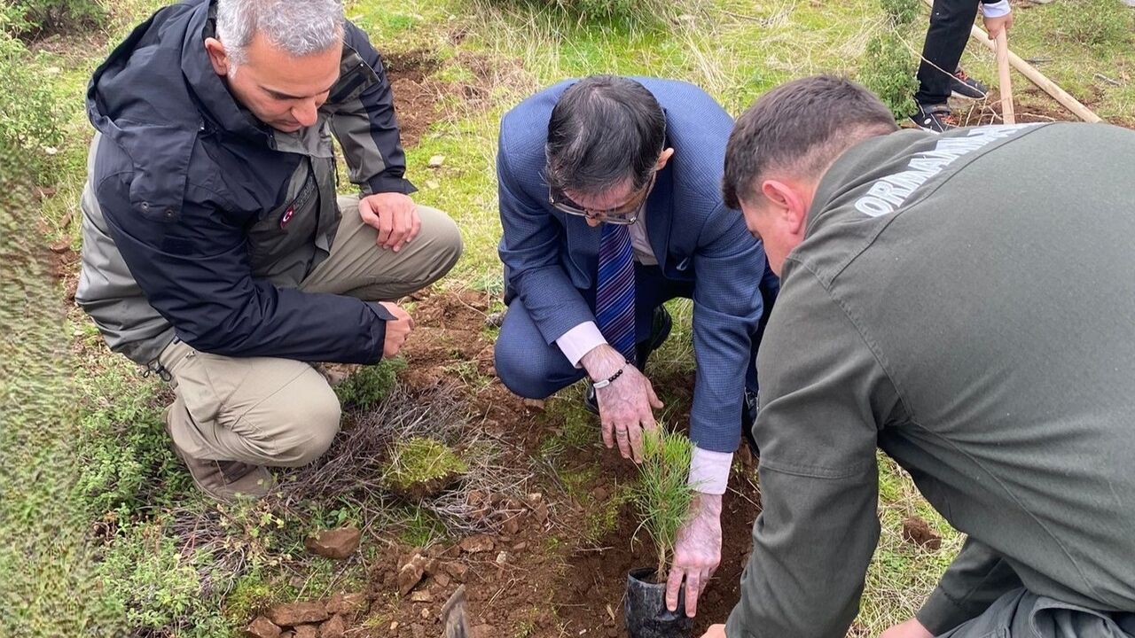 Balıkesir'de C-130 Kazası Şehitleri İçin Fidan Dikimi