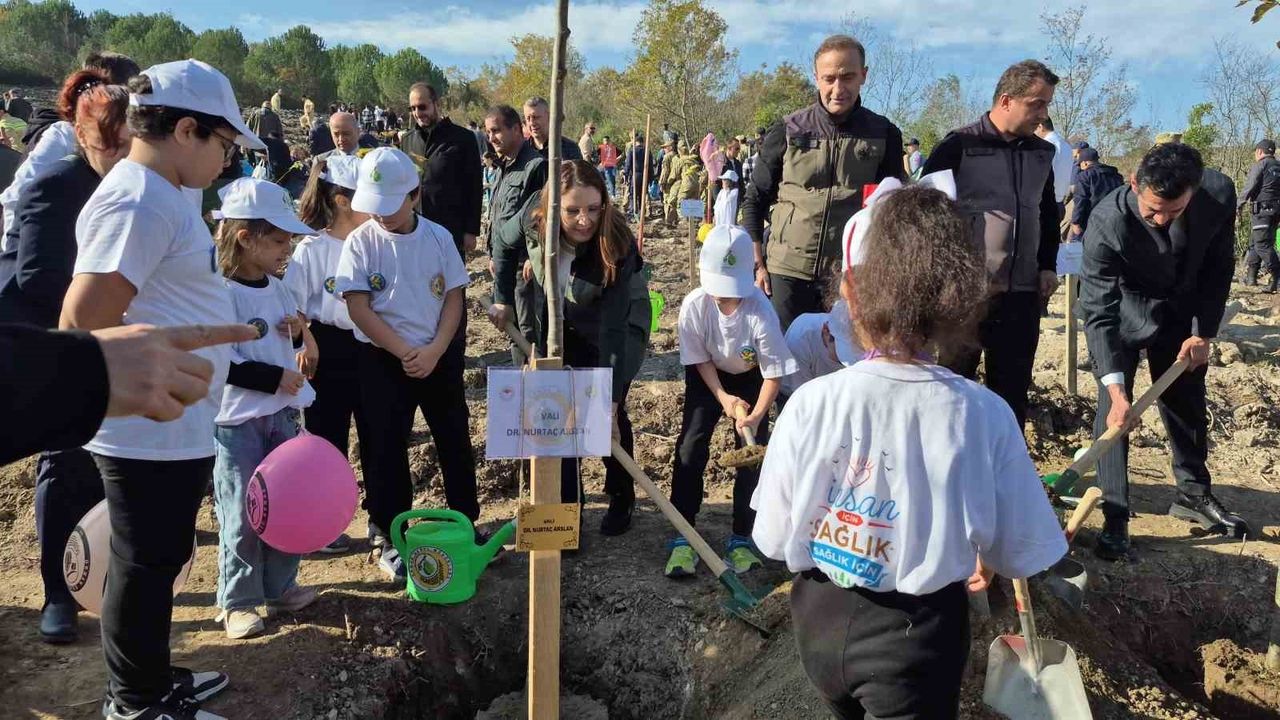 Bartın'da 3 Bin 500 Fidan Dikimi Gerçekleştirildi