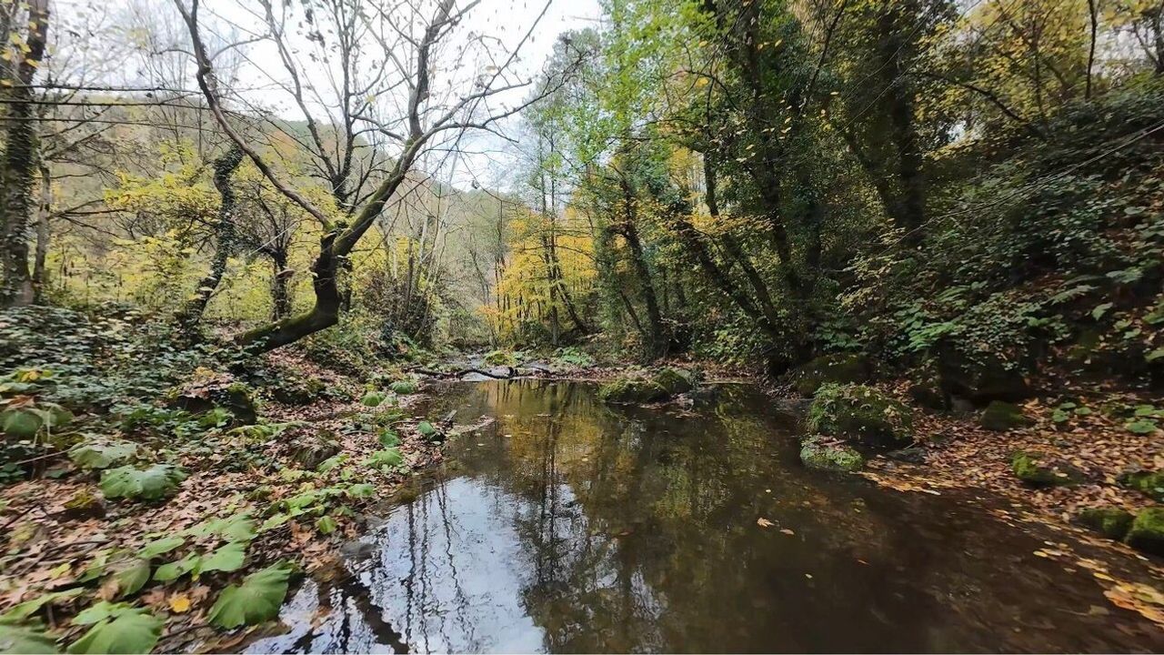 Başiskele'de Sonbahar Güzelliği