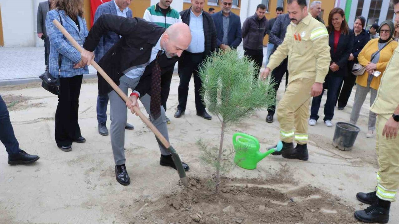 Başkan Arıkan: Ormanların Önemi ve Yeşil Vatan Çağrısı
