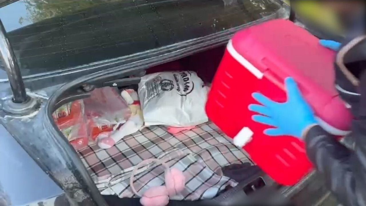 Batman'da Kaçak Gümrük Malzemeleri Ele Geçirildi