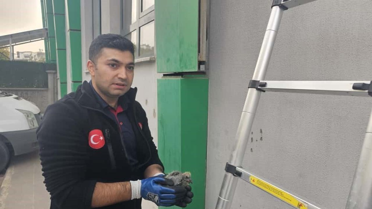 Batman'da Sıkışan Kuş Kurtarıldı