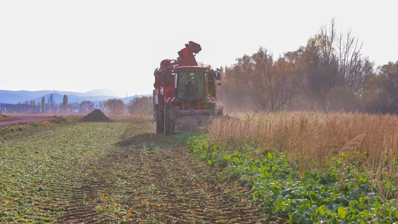 Bayburt Çiftetaş Köyü'nde Şeker Pancarı Hasadı Başladı