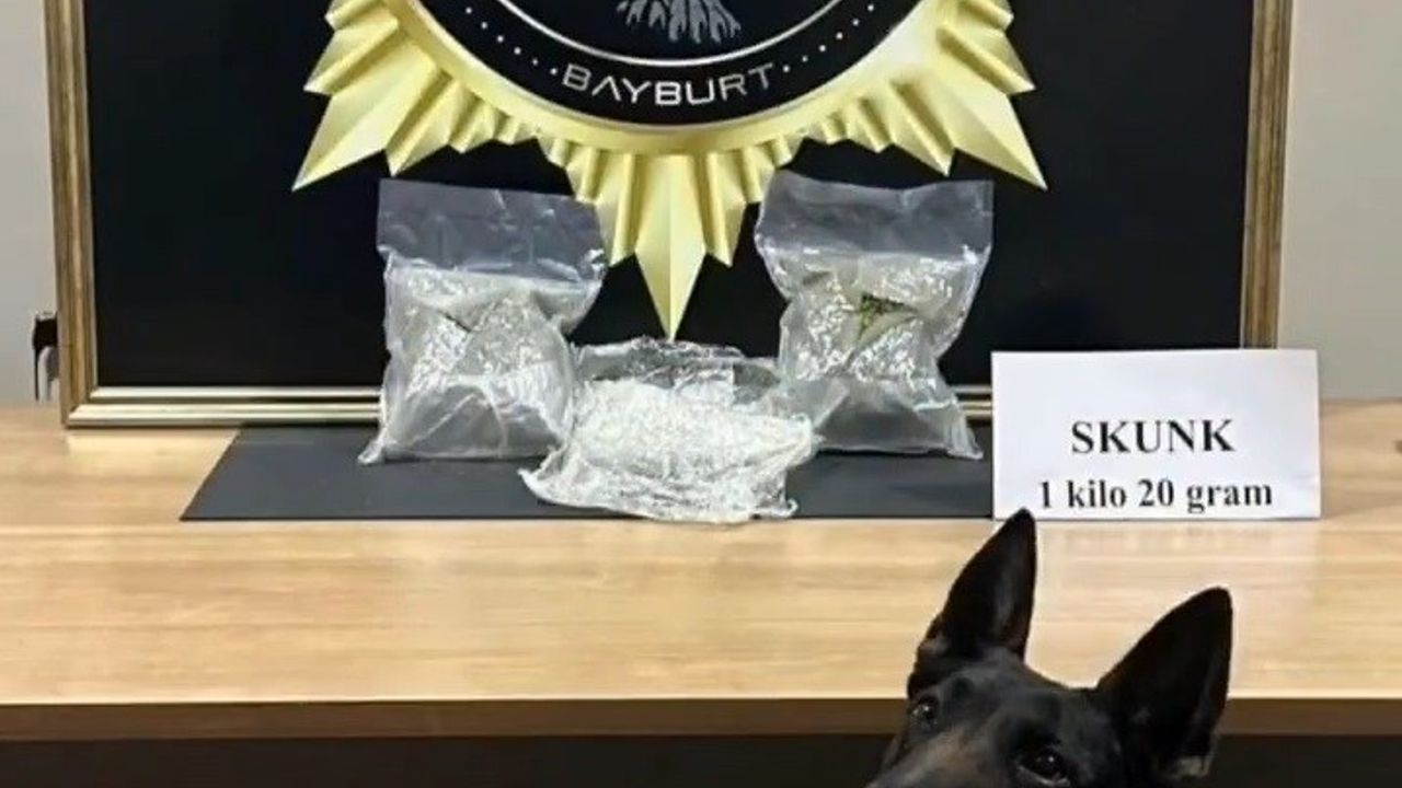 Bayburt'ta 1 Kilo 20 Gram Skunk Ele Geçirildi
