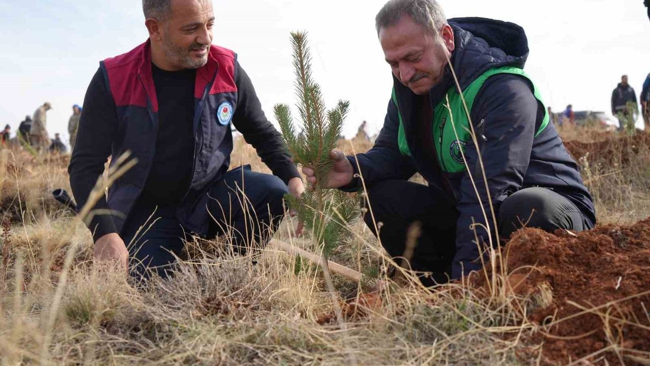 Bayburt'ta 97 Bin Fidan Toprakla Buluşturuldu