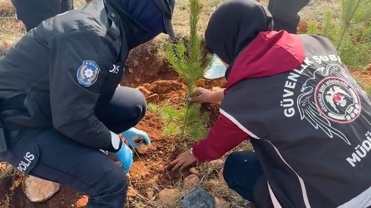 Bayburt'ta Hatıra Ormanı Oluşturuldu