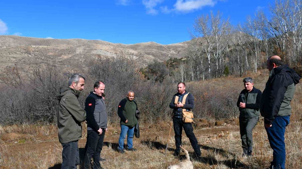 Bayburt'ta 'Kara Elmas' Trüf Mantarı Keşfi