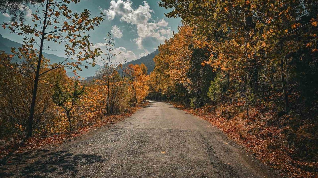 Belemedik Tabiat Parkı Sonbaharda Estetik Bir Renk Cümbüşü Sunuyor