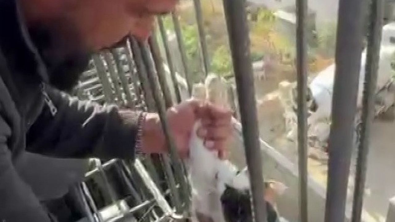 Beton Dökümünde Mahsur Kalan Kedi Kurtarıldı