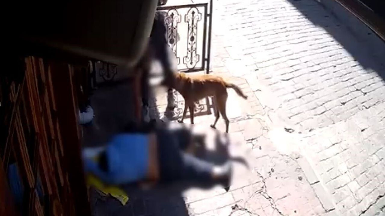 Beyoğlu'nda Şok Olay: Sara Nöbeti Geçiren Adamın Telefonu Çalındı