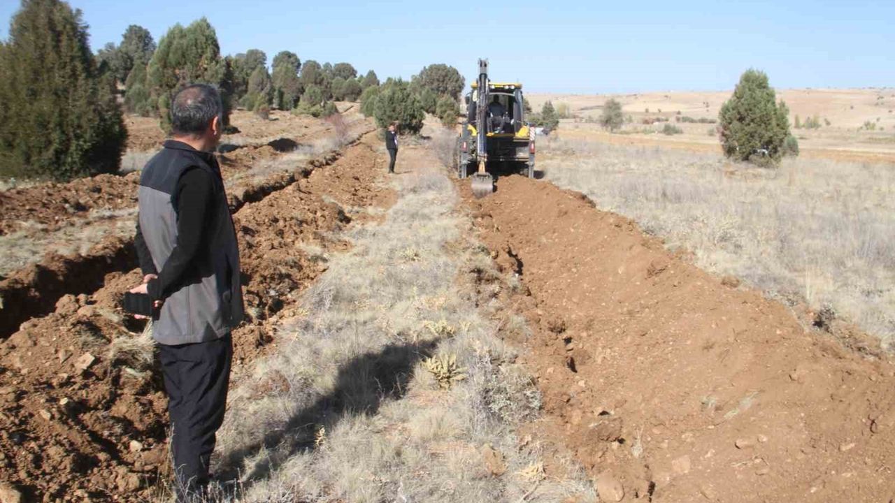 Beyşehir'de 11 Bin Orman Fidanı Toprakla Buluşturulacak