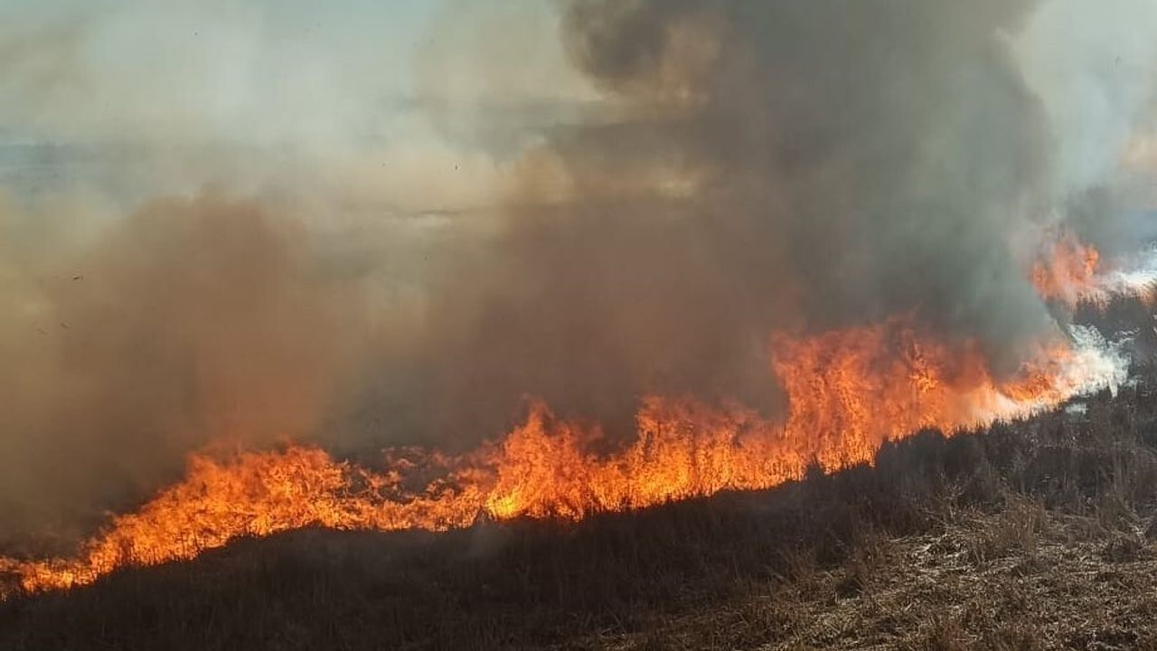 Beyşehir'de Sazlık Yangınları Kontrol Altına Alındı