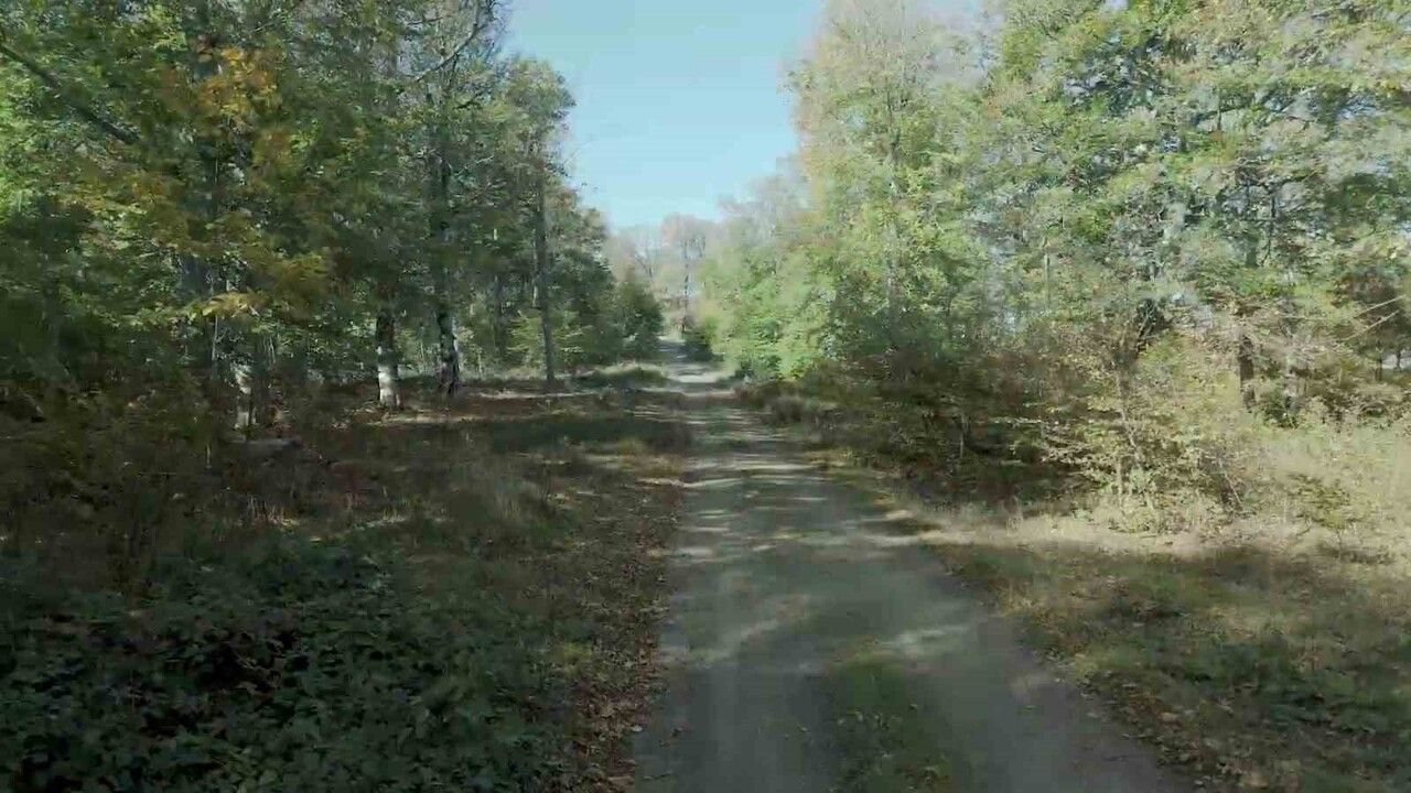 Biga Ormanları Sonbahar Renkleri ile Büyülüyor