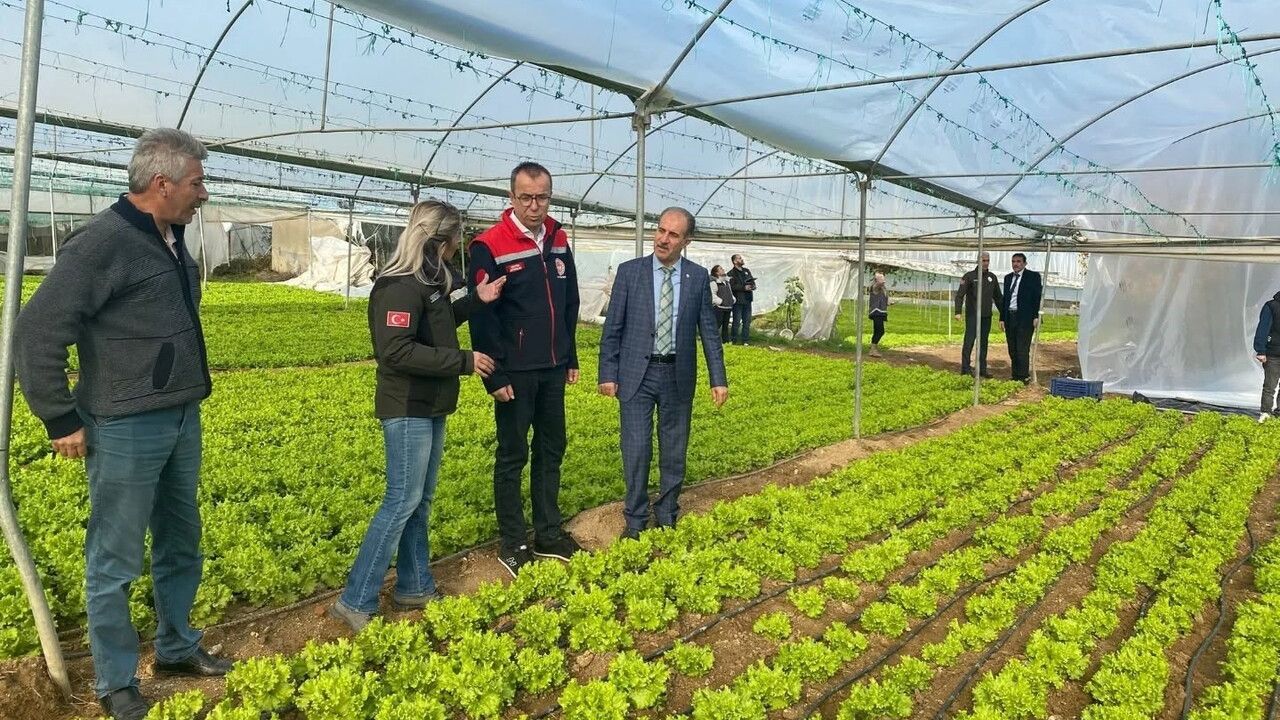 Bilecik'te 52 Çiftçiye Sera Naylonu Desteği