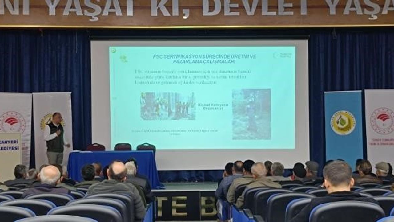 Bilecik'te Ormanlar Sürdürülebilir Yönetim İçin Sertifikalandırılıyor