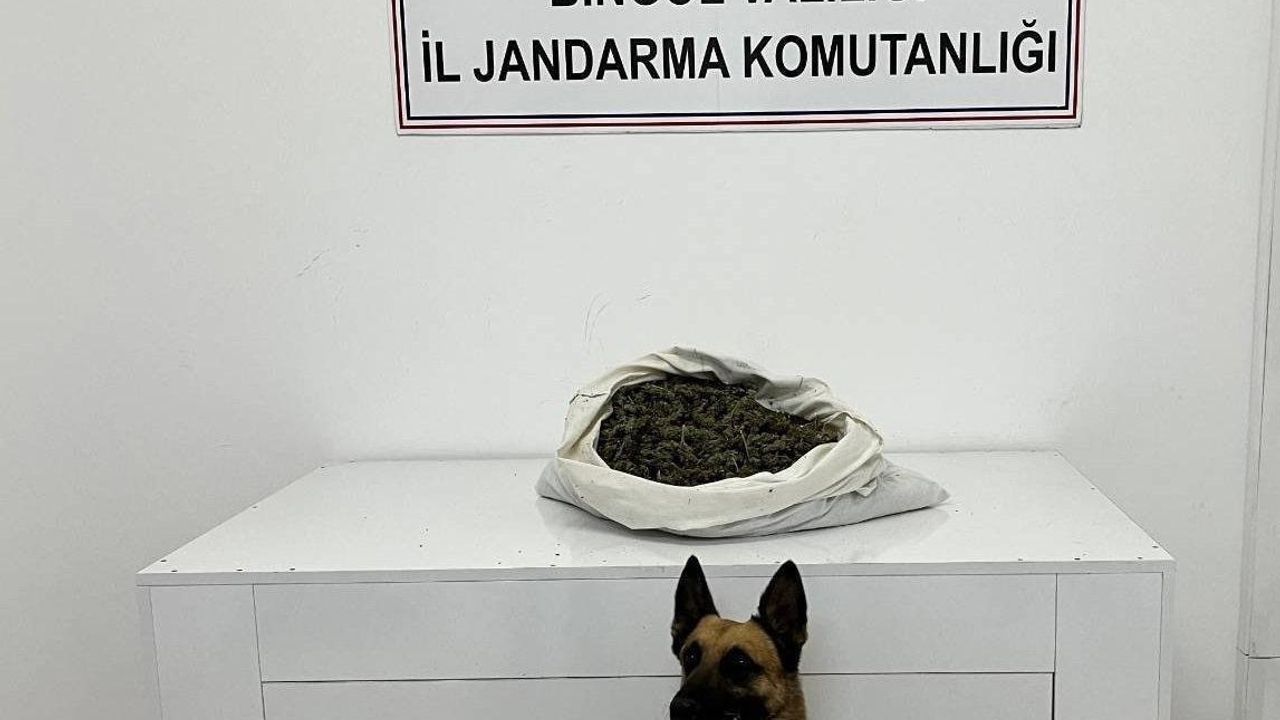 Bingöl'de Uyuşturucu Operasyonu: 2 Kilo 802 Gram Kubar Esrar Ele Geçirildi