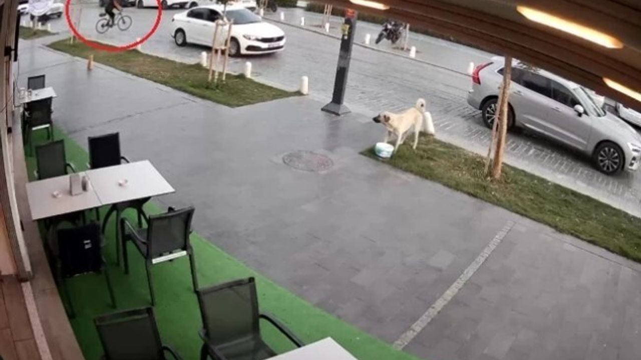 Bisikletliye Otomobil Çarptı: 1 Yaralı