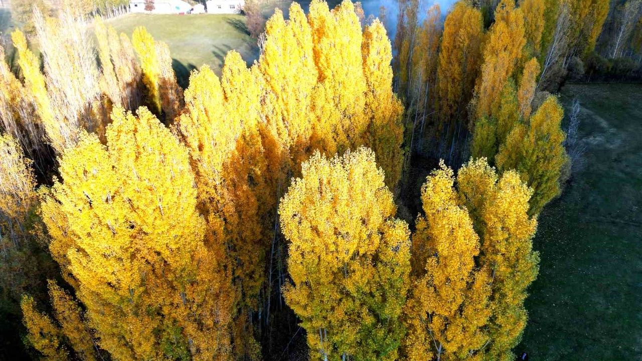 Bitlis'te Sonbaharın Renk Cümbüşü