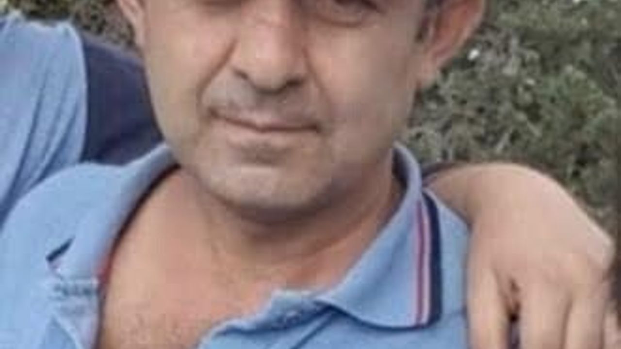 Bolu'da Ağaç Kazası: Bir Kişi Hayatını Kaybetti