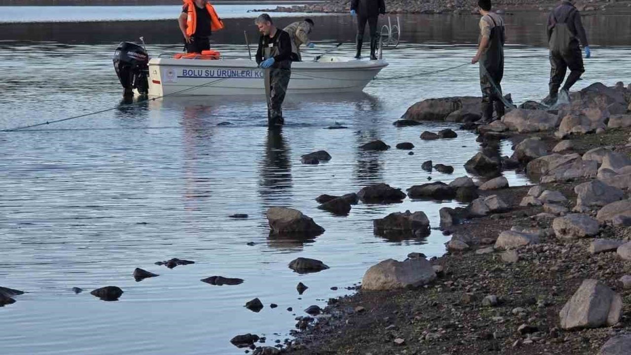Bolu'da Hayalet Ağ Operasyonu: 500 Balık Kurtarıldı