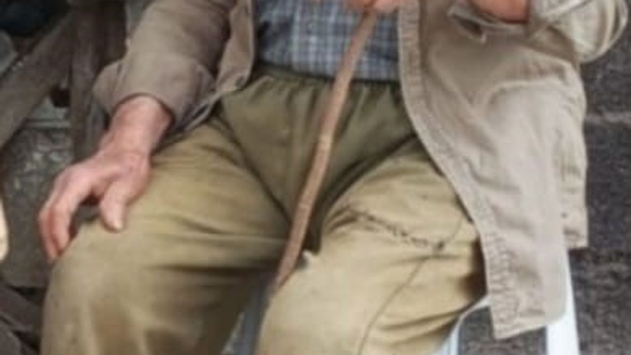 Bolu'da Kayıp 88 Yaşındaki Adam İçin Arama Çalışmaları Devam Ediyor