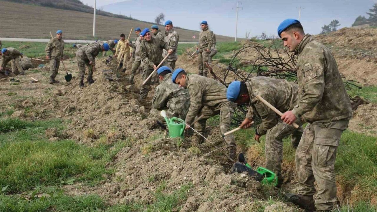 Bolu Komandoları Orman Yangını Sonrası Fidan Dikimiyle Geleceğe Nefes Oldu