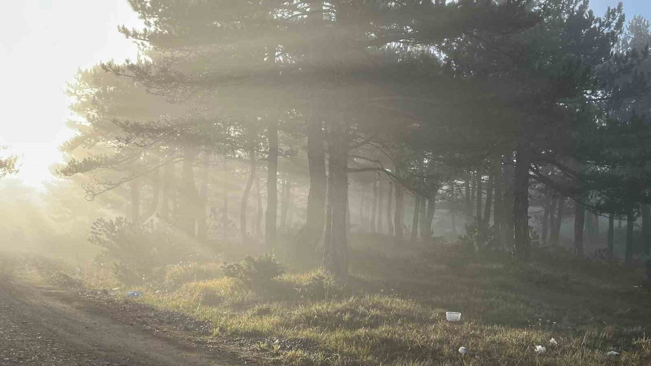 Bozdağ Zirvesindeki Büyüleyici Sis Manzarası