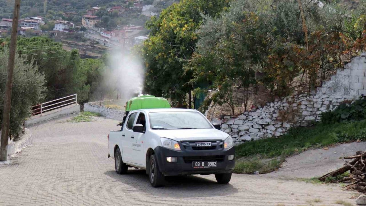 Bozdoğan'da Karasinekle Mücadele Çalışmaları