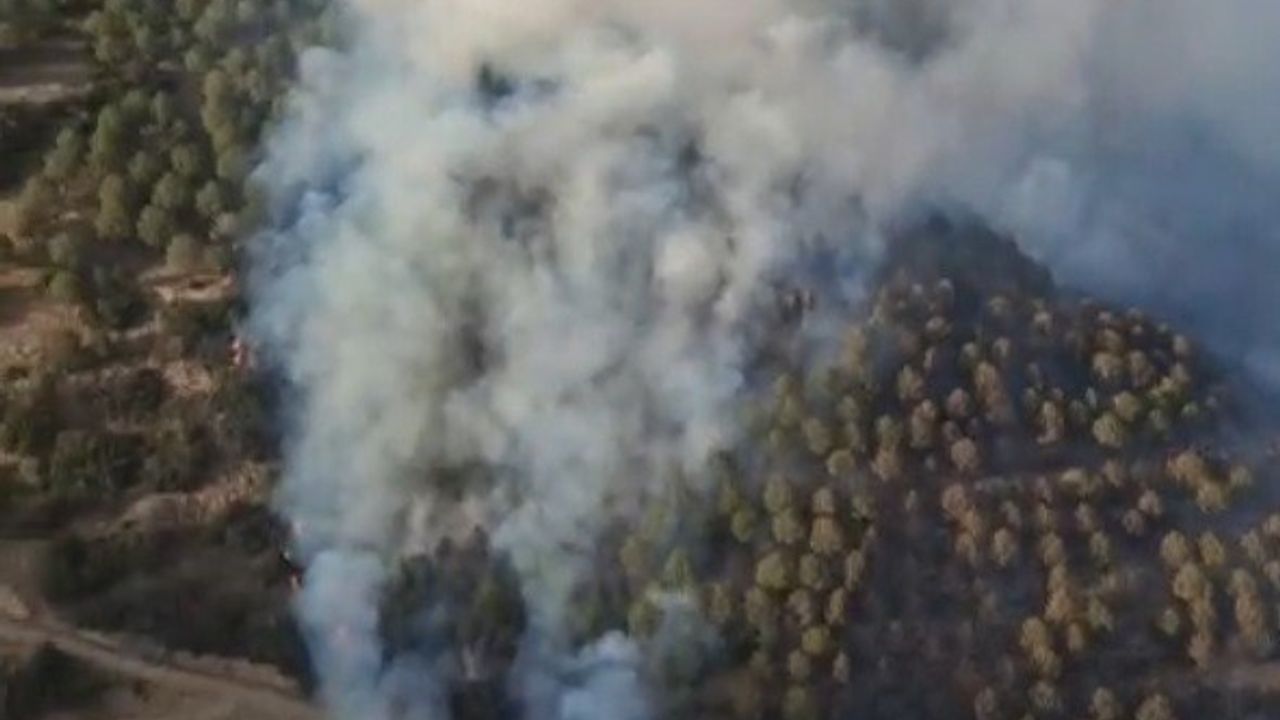 Bozdoğan'da Zirai Yangın Ormana Sıçradı